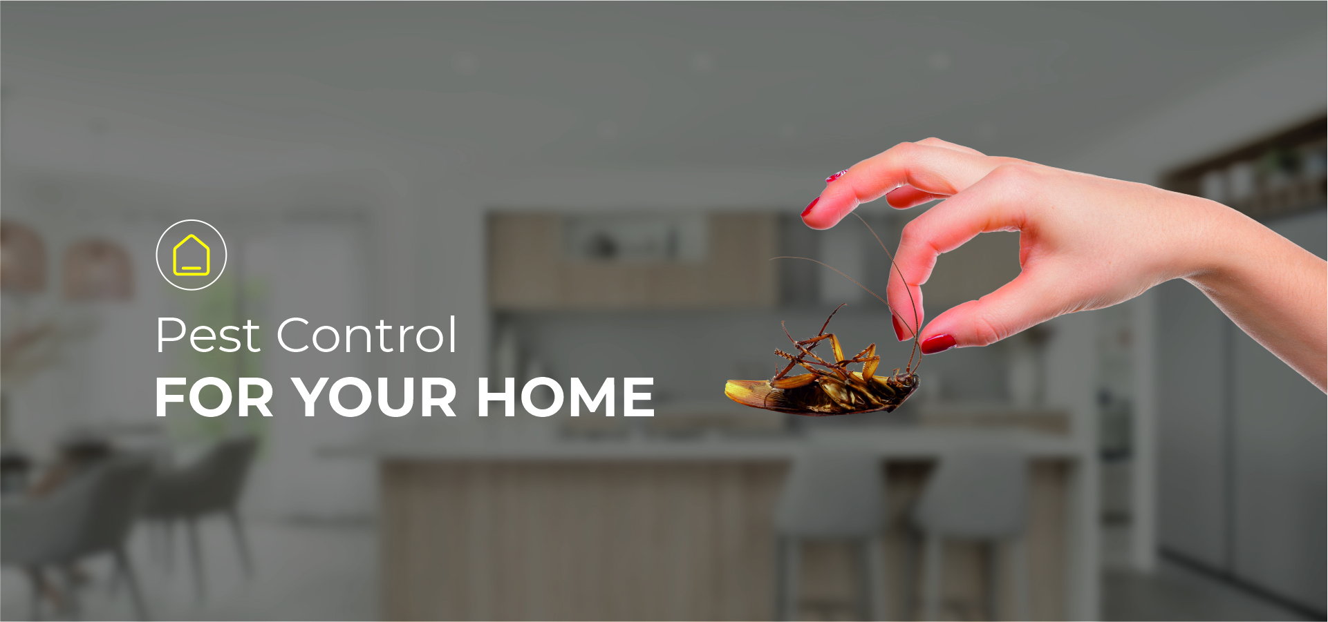 Home Pest Control Solution in Ahmedaabad