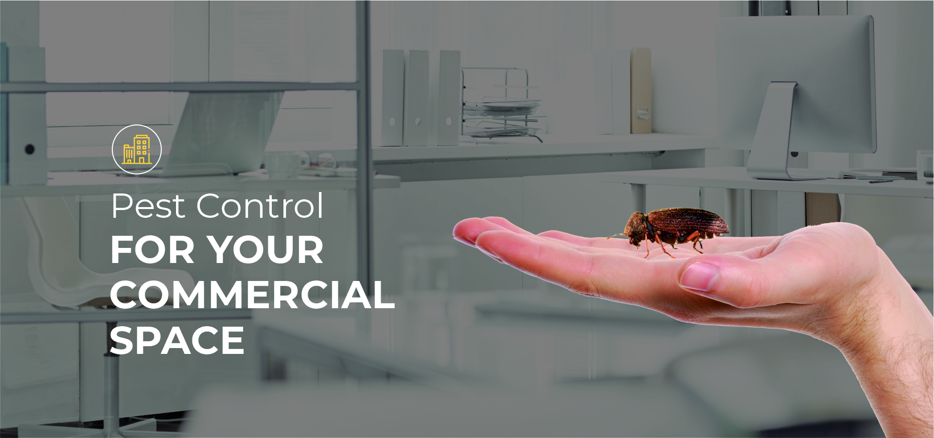Commercial Pest Control Solution in Ahmedabad
